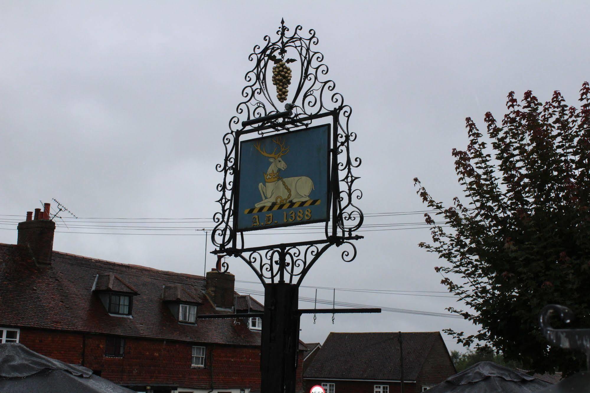 Whyte Harte Hotel Redhill  Exterior foto